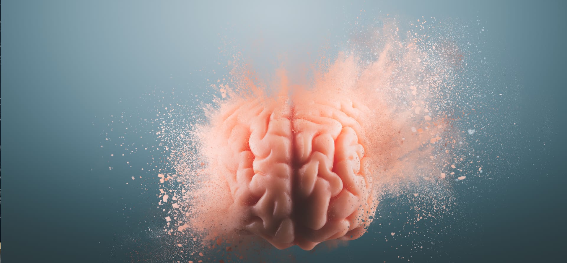 Qu’est-ce que le traumatisme cranio-cérébral (TCC)?